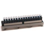 Allen-Bradley 1492-XIM24-16RF Relay Expander Module, Fusible, 16 Relays, 16 Channel Blown Fuse LED, For 1756 ControlLogix 16 Point Isolated and 32 PointI/OModules, 24V DC