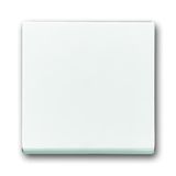 1786-84-500 Cover Plates (partly incl. Insert) Switch/push button Single rocker Without imprint studio white - 63x63