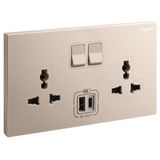 ROSEGOLD 2G MULTISTANDARD SWITCHED SOCKET WITH TWO USB TYPE A+TYPE C