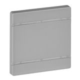 Cover plate Valena Life - without marking - 2 modules - aluminium