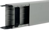 Liféa trunking 60x110, c, 2 cable r.,g