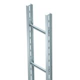 SLS 80 C40 2 FT Vertical ladder industrial with C 40 rung 200x6000