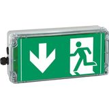 Ex-escape sign luminaires EXIT V-CG-S for emergency light function for zone 1/21, Pictogram: DIN ISO 7010, Arrow: 6 Clock