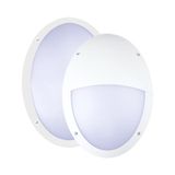 Outdoor Light with Light Source - wall light 8.5W 806lm 2700K IP66  - White