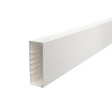 WDK60170RW Wall trunking system with base perforation 60x170x2000