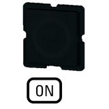 Button plate for push-button, Inscription: ON, 25 x 25