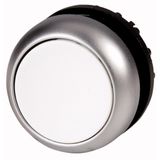 Illuminated pushbutton actuator, RMQ-Titan, Flush, momentary, Sealed and undetachable pushbutton pressel, White, Blank, Bezel: titanium