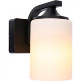 Outdoor Light without Light Source - wall light Abilene - 1xE27 IP44  - Anthracite