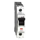 Main Load-Break Switch (Isolator) 40A, 1-pole