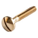 Short brass screw Patavium panel (old)