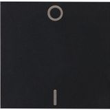 HK07 - Flächenwippe 2-polig, Farbe: schwarz matt