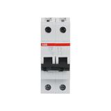 S202L-C16 Miniature Circuit Breaker - 2P - C - 16 A