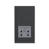 2332 UJBS-81 Socket Outlets anthracite - future linear