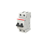 S202-C10 MTB Miniature Circuit Breaker - 2P - C - 10 A