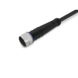 Sensor/Actuator cable M8 socket straight 3-pole