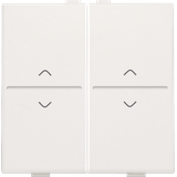 Double key with 'up' and 'down' arrows for wireless switch or push but