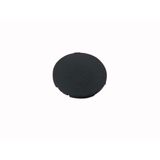 Button plate, flat black, blank