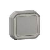 Plexo 10A waterproof illuminated switch or two-way switch supplied complete for recessed mounting with gray claws