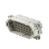 Contact insert (industry plug-in connectors), Male, 500 V, 16 A, Numbe