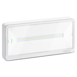 Exiway Light Act IP42 L110 multi-h