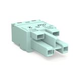 Socket;2-pole;Cod. B;light turquoise