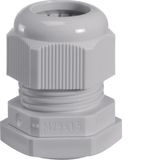 Cable gland, vector, IP65, M25
