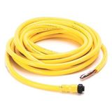 Allen-Bradley 889N-F5AFC-20F Mini Cable, Female, Straight (Int Threads), Female, Straight (int threads), Standard Materials, 5-Pins, 5-Pins, Cable, No Connector, No Connector, Cable - U.S. Color Code, Same as First End, PVC Cbl, Yellow