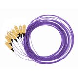 FO Pigtail SC, 50/125æm OM4, 2.0m, Easy Strip, violet,4pcs