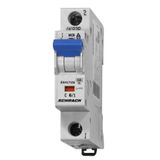 Miniature Circuit Breaker (MCB) C, 6A, 1-pole, 4.5KA