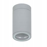 Luminaire PILLAR MINI R 1x50W  ceiling,round,grey