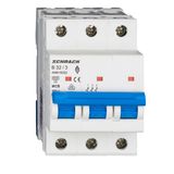 Miniature Circuit Breaker (MCB) AMPARO 6kA, B 32A, 3-pole