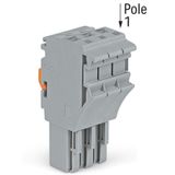 1-conductor female connector Push-in CAGE CLAMP® 4 mm² gray