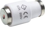 Fuse DIII E33 63A 500V, tripping characteristic fast, with indicator
