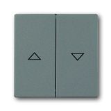1785 JA-803 CoverPlates (partly incl. Insert) Busch-axcent®, solo® grey metallic