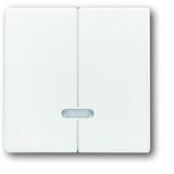 6545-84 CoverPlates (partly incl. Insert) future®, Busch-axcent®, solo®; carat® Studio white