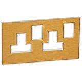 Plate Arteor - BS - square - switched sockets 2-gang - gold brass