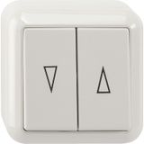 Roller shutter button, 1-pole, polar white, surface-mounted