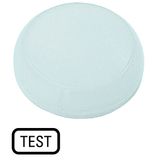 Lens, indicator light white, flush, TEST