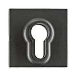 Cover for key switch, anthracite
