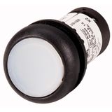 Illuminated pushbutton actuator, Flat, momentary, 1 N/O, Screw connection, LED white, White, Blank, 120 V AC, Bezel: black