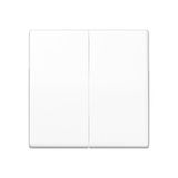Standard centre plate for touch dimmer AS1565.07WW