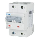 Miniature circuit breaker (MCB), 80A, 2p, B-Char, AC