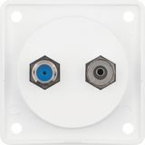 Integro Inserts-Aerial Connector Box Radio/SAT, Polar White Matt