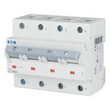 Miniature circuit breaker (MCB), 80A, 3Np, D-Char, AC