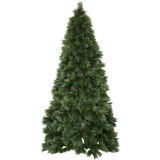 Christmas Tree Cembra