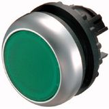 Illuminated pushbutton actuator, RMQ-Titan, Flush, momentary, Sealed and undetachable pushbutton pressel, green, Blank, Bezel: titanium