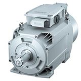 main motor for SINAMICS S120;3 operating voltage 380 V 3AC 1PH3131-1DF00-0LA0