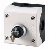 Key-operated actuator, maintained, 2 positions 0, I, Bezel: titanium, 1 NC, 1 N/O, Enclosure
