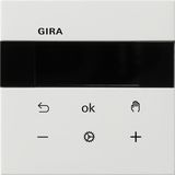 S3000 RTC Display Gira F100 p.white