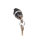 Osmoz non illuminated key selector switch - 2 stay-put positions (0-12h) 45°